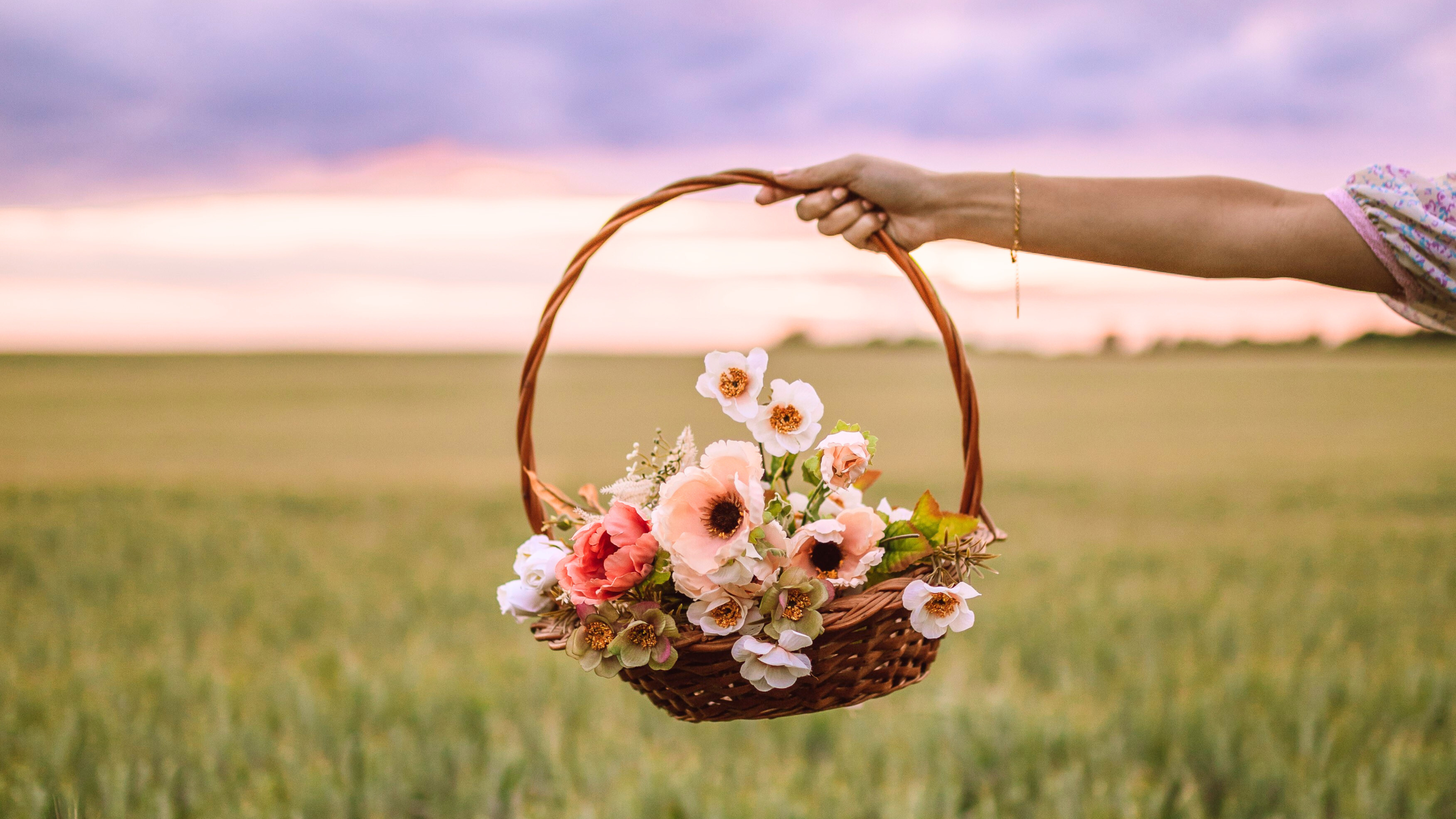 She Turns to the Wildflowers: A Poem About Choosing Yourself