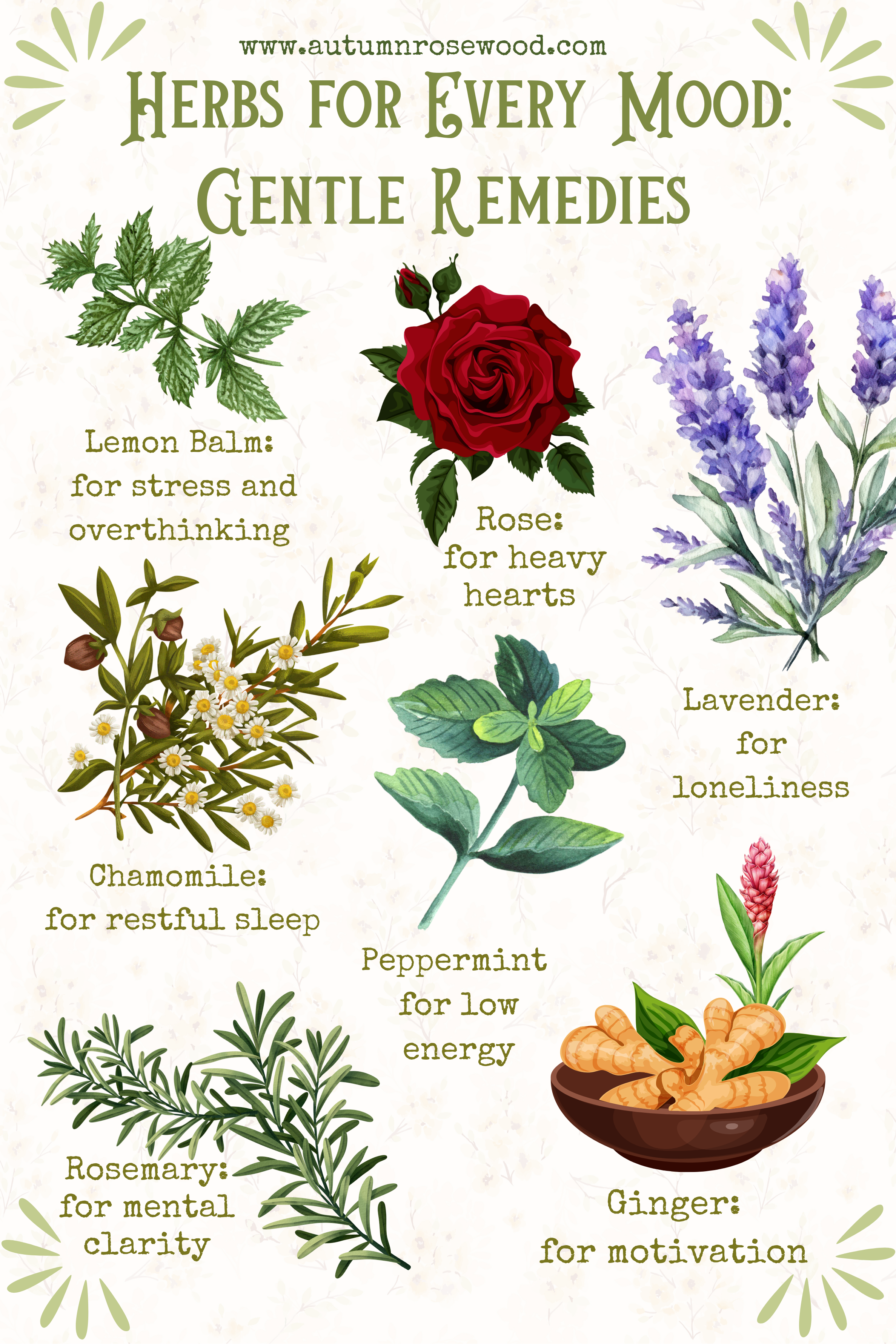 A Herb for Every Mood: Gentle Remedies from the Cottage Garden