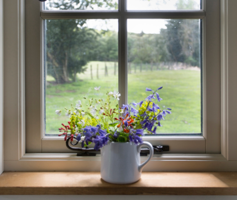 What I Learned from My Windowsill
