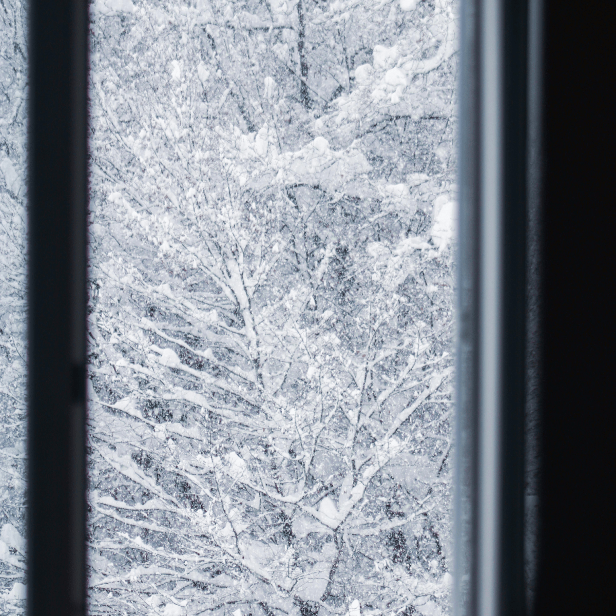 A Letter Written While the Snow&nbsp;Fell