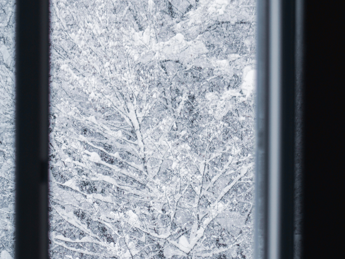 A Letter Written While the Snow&nbsp;Fell