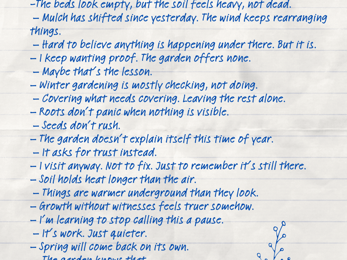 Notes From the Sleeping&nbsp;Garden