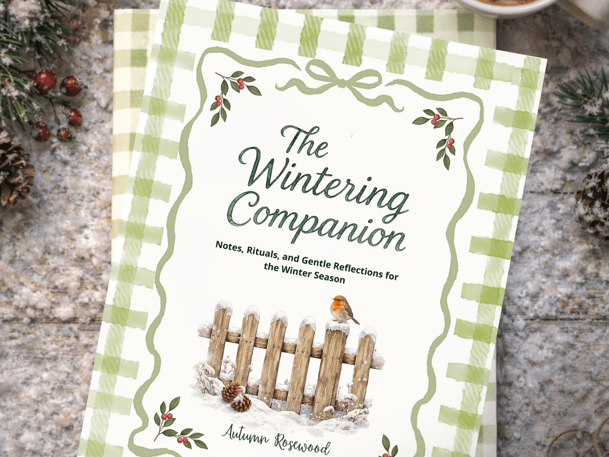 The Winter I Stopped&nbsp;Rushing